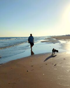 dog on beach