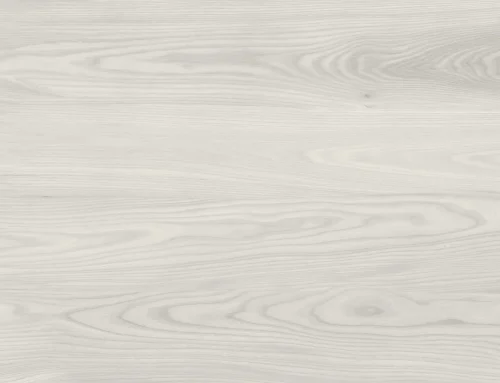 Built for Low Maintenance: Spray Foam, Standing Seam Metal Roofs and Coastal-Ready Details